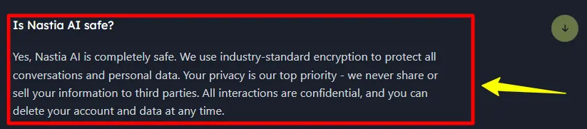 Nastia AI Privacy