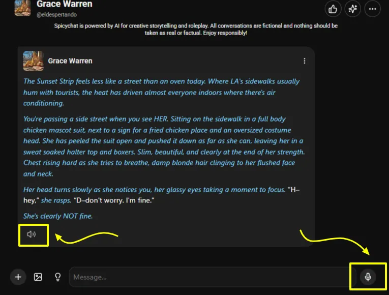SpicyChat Voice Feature