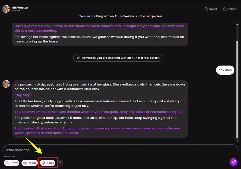 Dreamz.ai Voice Messages Feature